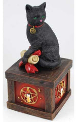 Magical Cat box 5" x 2 1/2"